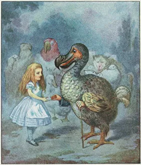 Allegory Literature Images Drucke: The Dodo solemnly presented the thimble.. 1911. Creator: Tenniel, Sir John (1820-1914)