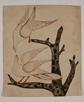 Tauben, um 1820. Schöpfer: Unbekannt.
