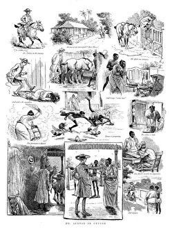 British Rural Life Drucke: Dr. Syntax in Ceylon, 1890. Creator: Unknown