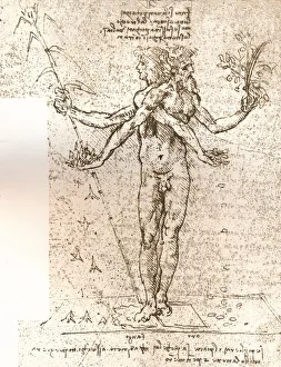 Leonardo Da Vinci Drawing Drucke: Drawing of an allegorical composition, c1472-c1519 (1883). Artist: Leonardo da Vinci