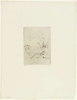 Die Ente, 1889. Schöpferin: Berthe Morisot