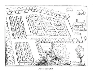 Entdeckungsinsel Ente 1870