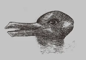 Taucheraffine Illusion. Von: Jastrow, J.. Die Augen des Geistes im Populärer Wissenschaftliche Monatlich, 1899. Künstlerin: Jastrow, Joseph (1863-1944).