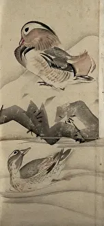Chinese Heritage Images Drucke: Two ducks in a landscape, (unknown date). Creator: Unknown