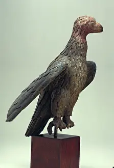 American Bird Of Prey Drucke: Eagle, 19th century. Creator: Unknown