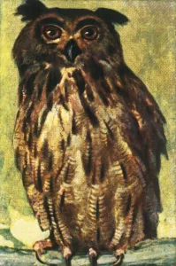 Cigarette Card Album Drucke: Eagle owl, c1928. Creator: Unknown