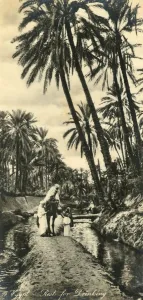 Vintage Middle East Images Drucke: Egypt - Rest for Drinking, c1918-c1939. Creator: Unknown
