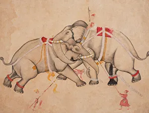 Indian Heritage Art Drucke: Elephant Combat, c1725. Creator: Unknown
