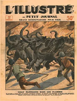 Zwanzig Elefanten in den Flammen, 1932. Künstler: Unbekannt.