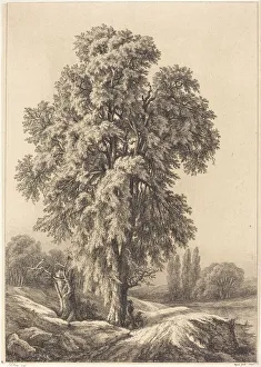 Die Elmschöpfung, 1840. Schöpfer: Eugen Blei