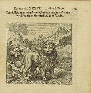 Wappen Nr. 37. Drei Dinge sind genug für Meisterschaft der weiße Rauch, das Wasser ist ... 1816. Schöpfer: Merian, Matthäus der Ältere (1593-1650)