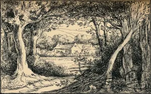 Monochrome Drawings Drucke: The End of the Glade, Epping Forest, c1900. Artist: Selwyn Image