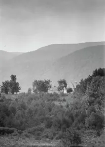 Black And White America Drucke: Estate of Thomas E. Martson, 1932. Creator: Arnold Genthe