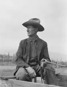 Dorothea Lange Photographer Drucke: Ex-Nebraska farmer now developing farm out of the stumps