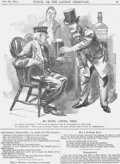 Victorian Politics Drucke: An Extra Liberal Dose, 1885