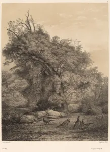 Gerahmter Druck : Faisans von Karl Bodmer Gerahmter Druck : Faisans von Karl Bodmer