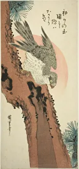 Drucke von Falke auf einem Eichenbaum mit dem Aufgehenden Sonnenschein um ca. 1835 Ando Hiroshige Drucke: Falke auf einem Eichen mit dem Aufgehenden Sonnenschein um 1835 von Andō Hirosuke