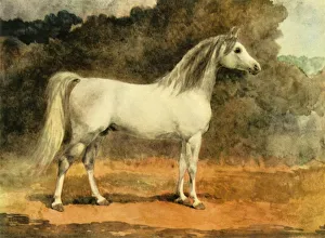 Ein berühmter arabischer Hengst, um 1870er Jahre, (1944). Künstlerin: Anne Blunt.