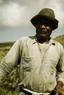 Landwirtschaftliche Sicherheitsbehörde Kreditnehmerin in der Nähe von Frederiksted auf den Inseln der Jungferninseln, St. Croix; Jahr: 1941; Ersteller: Jack Delano