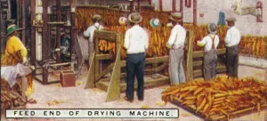 Factory Interior Photography Drucke: Feed End of Drying Machine, 1926
