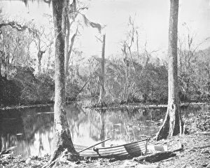 Monochrome Nature Photography Drucke: A Feeder of the St. Johns River, Florida, USA, c1900. Creator: Unknown