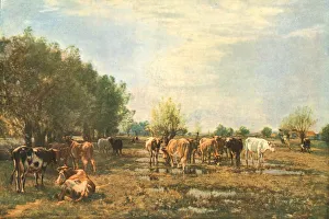 Amalgamated Press Ltd Publications Drucke: Fen Meadows with Cattle, 1877, (c1930). Creator: Mark Fisher