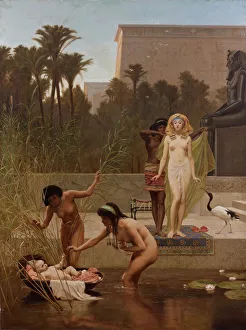 Ägypten Drucke: Die Entdeckung des Mooses