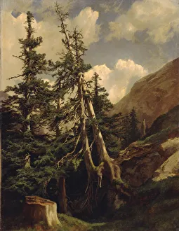 Oil On Canvas Realism Art Drucke: Firs in the mountains