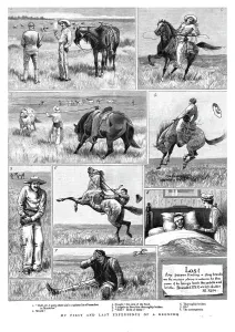 Victorian Era Horse Riding Drucke: My First and Last Experience of a Broncho, 1891. Creator: Unknown