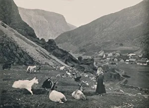 Norwegian Countryside Landscape Drucke: Flaam, 1914. Creator: Unknown