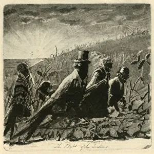 Black And White Illustrations USA Drucke: The Flight of the Swallows, 1882. Creator: Unknown