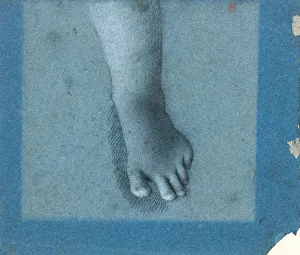Foot study
