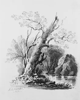 Waldgarten, Der Schöpfer ist : Wilhelm GUY WALL