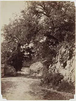 French Heritage Art Photography Drucke: Forest Path, c1853. Creator: Eugene Cuvelier