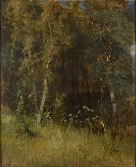Wäldchen Dichte, 1874