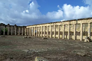 Ancient Greek City Drucke: Forum, Cyrene, Libya