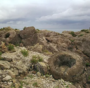 Fossilschichtwald im Dorset