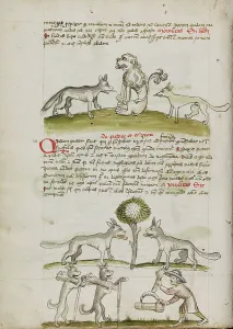 Agricultural Scene Art Drucke: Fox and Wolf before a Lion: Two Wolves under a Tree Dragging Bales