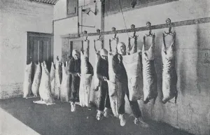 Erfrorene Fleischwaren, 1923. Ersteller: Unbekannt.