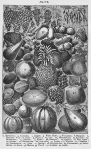 Obst, 1907