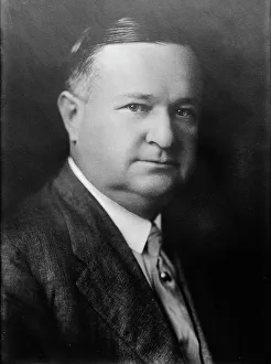 Heritage Art America Drucke: Fuller E. Callaway, between c1915 and c1920. Creator: Bain News Service
