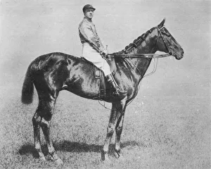 Galtée More, 1894–1917, (1911)