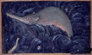 Indian Heritage Images Drucke: Ganges River Dolphin, 1590. Creator: Sarwan