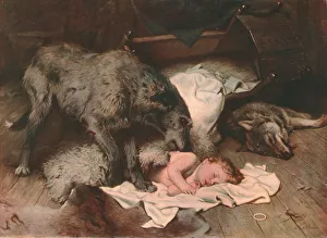 Drucke von Gelert, um 1894 (um 1902). Nach einer Gemälde im Reading Museum and Town Hall. Darstellung eines walisischen Legendenwunders bei dem treue Gelert einen Kind vor einem Wolf rettet Wolf Drucke: Gelert, um 1894/1902, Künstler unbekannt