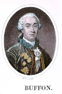 French Naturalist Drucke: George-Louis Leclerc, Comte de Buffon, French naturalist, 18th century. Artist: Holl