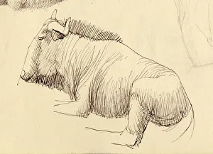 Shirley Markham Artwork Drucke: Gnu, c1951. Creator: Shirley Markham