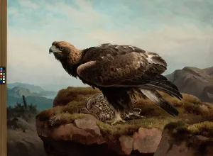 Bird Of Prey Artwork Drucke: Golden Eagle at a Cliff's Edge, 1880. Creator: Ferdinand von Wright