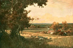 British Rural Scene Drucke: The Golden Valley, c1893, (c1902). Creator: Unknown