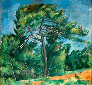 Drucke von Der Große Fichtenbaum (Le Grand Pin), 1890-1896. Im Bestand des Museus de Arte de São Paulo Impressionistische Gemälde Drucke: Der große Fichtenbaum (Le Grand Pin)