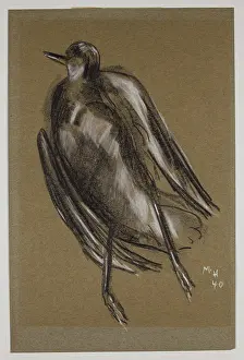 Gull, um 1940. Künstler: Marsden Hartley